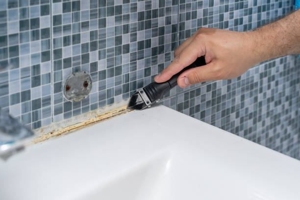 Best Emergency Mold Remediation in Osgood, IN